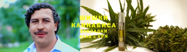 стаф Абдулино