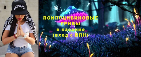 соль ск Абинск
