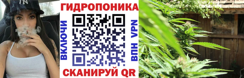 Бошки марихуана Amnesia как найти наркотики Кадников